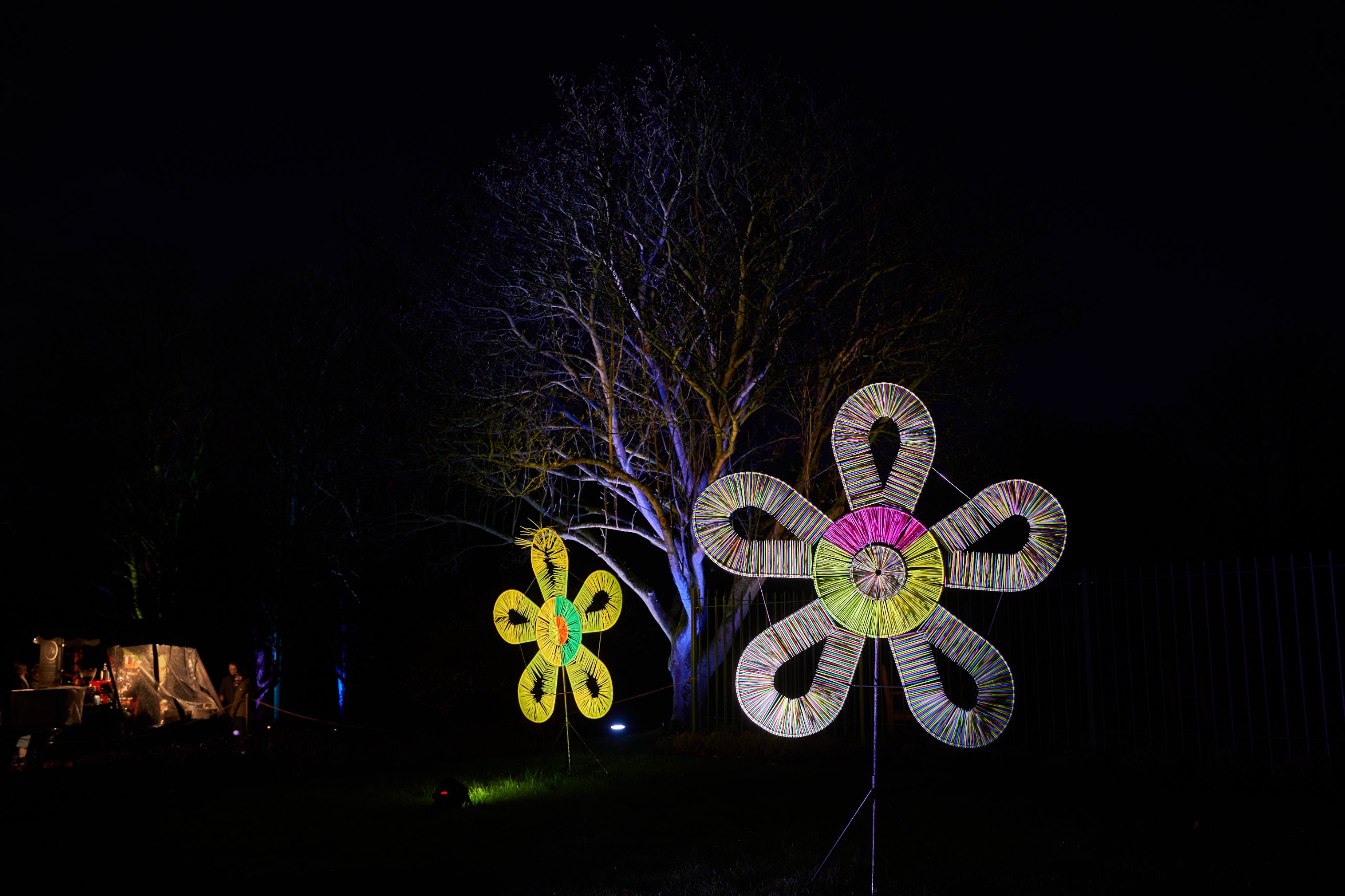 2024 02 23 Parkleuchten 0020